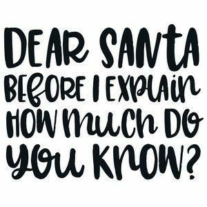 Christmas List Quotes, Christmas Sassy Quotes, Sassy Christmas Quotes, Dear Santa Quotes, Did You Know Funny, Funny Christmas Sayings, Santa Quotes, Svg Ideas, Holiday Quotes