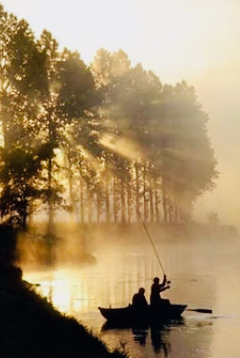 On Golden Pond, Autumn Rain, Last Day Of Summer, Family Tattoos, Indian Summer, Pumpkin Orange, Winter Colors, Color Of The Year, Season Colors