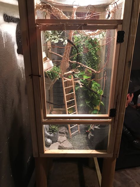 Homemade Chameleon Screen Cage  (I'm sure you can probably build it better than we did, was not hard at all to make!) p.s. use a ruler for correct measurements lol Also, have plastic on the outside of the cage on the sides where the wall & wires are so it does not moisten the walls and so it can keep the humidity in. Chameleon Cage Setup Ideas, Diy Chameleon Cage, Chameleon Cage Ideas, Chameleon Terrarium, Chameleon Enclosure, Chameleon Care, Chameleon Cage, Frog Tank, Veiled Chameleon