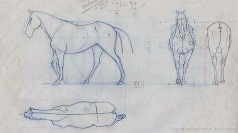 tumblr_o4qz3v1dO91rc3pqko1_500.gif (500×281) Traditional Animation, Horse Animation, Pencil Test, Horse Anatomy, Animation Gif, Animation Sketches, Horse Drawing, Animation Tutorial, Horse Drawings