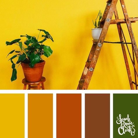 Mustard colors // Get inspired by these beautiful color palettes based on the Spring/Summer 2019 PANTONE color trend predictions for. Click to see all 25 color palettes at sarahrenaeclark.com #color #colorscheme #colorful Summer Color Trends, Colorful Macrame, Color Catalog, Granite Colors, Summer Color Palette, Bold Color Palette, Color Balance, Colour Palettes, Neutral Colour Palette