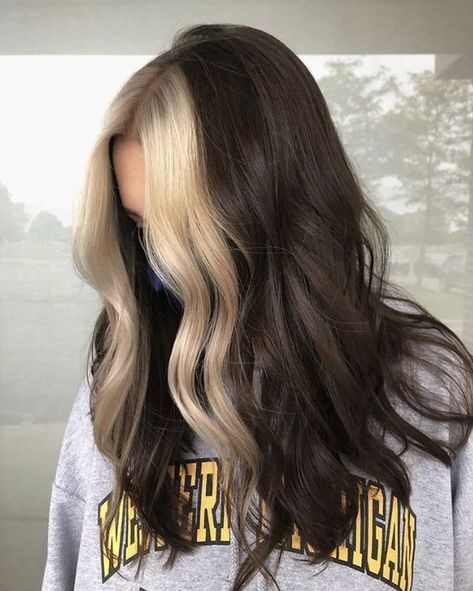 Black Hair With Blonde Front Pieces – Hair Color Underneath - davidreed.co Hair Pale Skin, Hair Color Underneath, Hair Color Streaks, Hair Streaks, Inspo Pics, Front Hair Styles, Wild Hair, Brown Blonde Hair, Hair Color And Cut