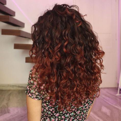 Mahogany Ombre on Long Curly Hair Mahogany Hair Color Curly, Brown Red Balayage Curly Hair, Red Curly Hair Balayage, Curly Mahogany Hair, Dark Red Balayage Curly Hair, Red Balayage On Curly Hair, Brownish Red Hair Curly, Cool Curly Hair Color, Curly Hair Color Inspiration