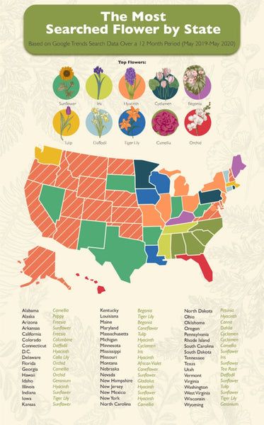 Flowers are universally loved but we wanted to know more about America’s favorite blooms. Find out about the most popular types of flowers in your state!H1: The Most Popular Flowers In America By State State Flowers, Dutch Iris, Sun Loving Plants, Most Popular Flowers, Fall Bulbs, Sun Perennials, Popular Flowers, Shade Perennials, Bee Balm