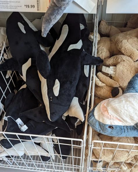 #plush #plushies #ikea #decore Orca Decor, Orca Plushie, Shark Plushies, Ikea Plushies, Ikea Plush, Shark Meme, Shark Room, Whale Plush, Family Ski Trip