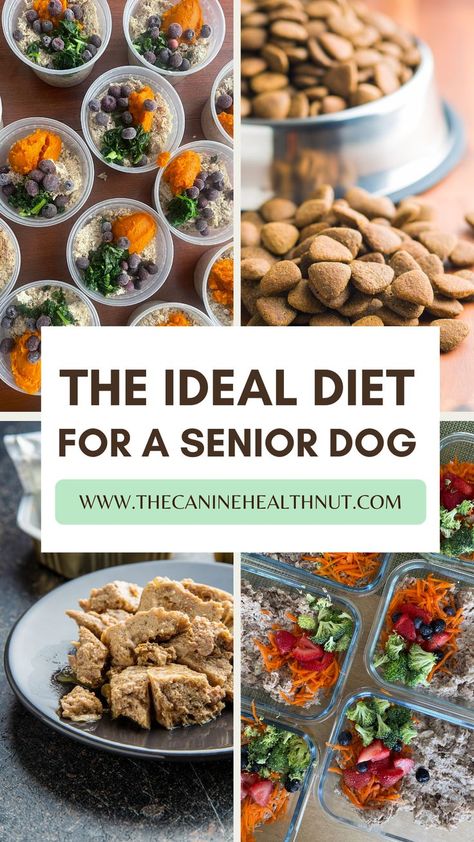 Dog Nutrition Homemade, Senior Dog Food, Senior Dog Food Recipes, Diy Dog Food, Make Dog Food, Senior Dogs, Raw Diet, Raw Dog Food Recipes, Dog Nutrition