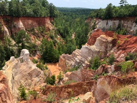 The next time the temperature in Georgia takes a turn for the better, consider camping in Providence Canyon for a one-of-a-kind experience you’ll never forget. Georgia Hikes, Providence Canyon, Natural Water Slide, Amicalola Falls, Travel Georgia, Packing Wardrobe, Visit Georgia, Backpacking Trips, Camping Tips