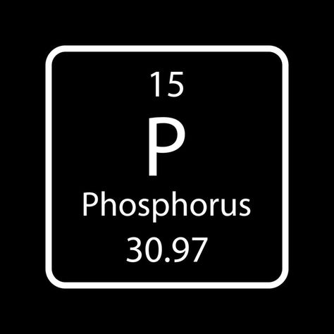 Phosphorus symbol. Chemical element of the periodic table. Vector illustration. Table Vector, The Periodic Table, Periodic Table, Vector Art, Vector Illustration, Clip Art