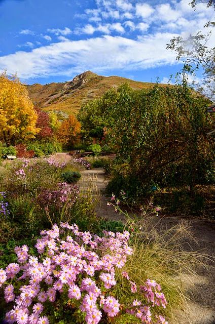 Red Butte Garden and Arboretum, Salt Lake CIty, Utah Utah Gardening, Red Butte Garden, Vancouver Washington, Utah Travel, Lawn And Landscape, Most Beautiful Gardens, University Of Utah, Garden Pictures, Wonderful Picture