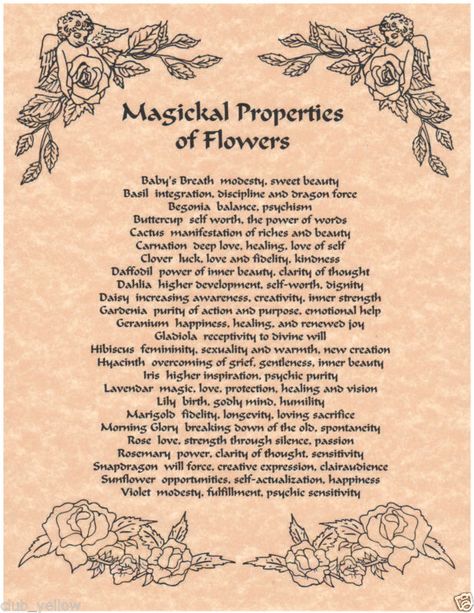 Magical properties Bee Pollen Magical Properties, Lotus Magical Properties, Gardenia Magical Properties, Fleabane Magical Properties, Globe Amaranth Magical Properties, Wisteria Magical Properties, Chrysanthemum Magical Properties, Geranium Magical Properties, Hydrangea Magical Properties