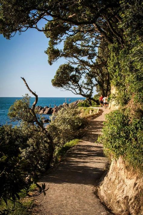 Mount Maunganui Base Track (New Zealand): Top Tips Before You Go - TripAdvisor Tauranga New Zealand, Contemporary Landscapes, Cheap International Flights, Environment Reference, Mount Maunganui, Nature Scenery, International Flights, Fairy Queen, Travel Diaries