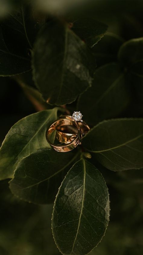 Engejment Rings, Wedding Ring Photoshoot Ideas, Wedding Rings Photography Ideas, Ring Pictures Ideas, Wedding Ring Photoshoot, Rings Photoshoot Ideas, Ring Photoshoot Ideas, Ring Shots Wedding, Rings Photoshoot