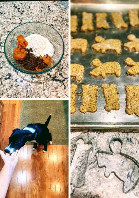 Spent Grain Dog Treats with Pumpkin - Dog Treat Recipe - Dining Alfresco Dog Treats With Pumpkin, Spent Grain Dog Treats, Dog Treats Recipes, Christmas Ale, Spent Grain, Dog Treat Recipe, Pumpkin Dog Treats, Treats Recipes, Sourdough Baking