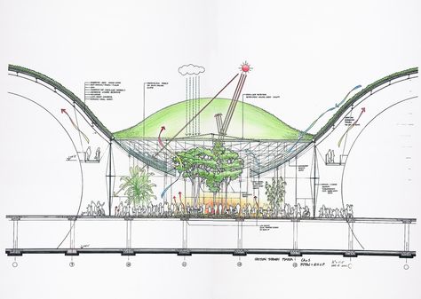 Gallery of California Academy of Sciences / Renzo Piano Building Workshop - 45 Renzo Piano Sketch, Green Roof Project, Underground Building, Building Workshop, Roof Work, Conceptual Sketches, California Academy Of Sciences, Open Architecture, Renzo Piano