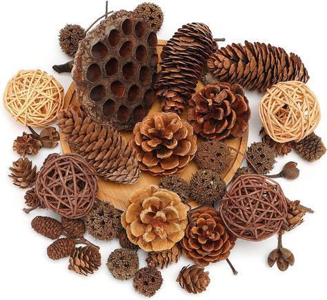 What You Get - 38PCS Pinecone Ornaments (various natural accent decorations including 1 x Dried Lotus, 2 x Light Brown Rattan Ball, 2 x Coffee Rattan Ball, 3 x Pinus, 4 x Multi-Layer Pinecone, 6 x Asian Cross Fruit, 9 x Dried Flower, 8 x Salva Seed, 3 x Spruce Pinecone ) Fake Fruit Decor, Pinecone Decor, Mini Pine Cones, Christmas Pine Cones, Fake Fruit, Pinecone Ornaments, Artificial Fruit, Decor For Christmas, Pine Cone Decorations