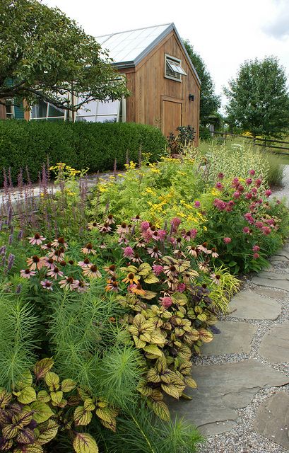 Mixed border with Echinacea and coleus: coleus could be good for filling the gaps when the planting is new. Matrix Gardening, Berm Landscaping, Tall Garage, Border Garden, Naturalistic Garden, Practical Garden, Backyard Farm, Garden Border, Meadow Garden