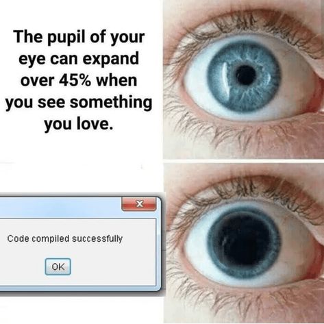 20 Programming Memes That'll Trigger Any Developer Computer Memes, Coding Java, Coding Memes, Programming Jokes, Computer Jokes, Coding Humor, It Humor, Programmer Jokes, Engineering Memes