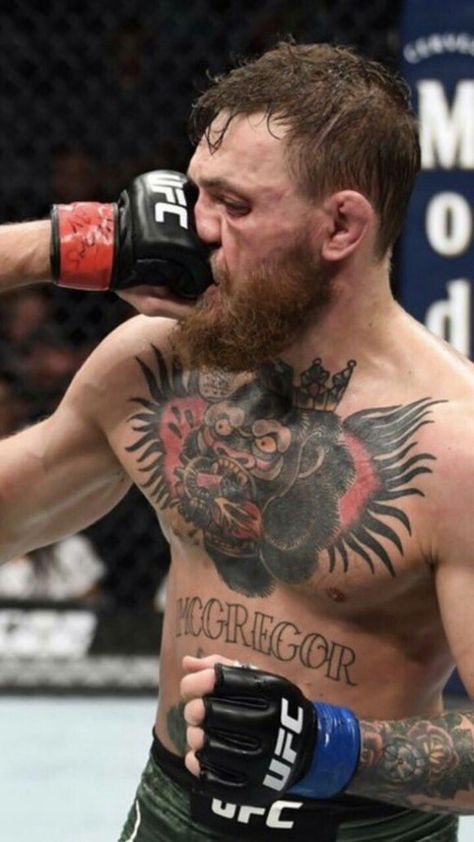 Conor McGregor gets punched by Khabib Nurmagomedov during UFC 229. Medium Length Beard, Conor Mcgregor Wallpaper Hd, Conor Mcgregor Video, Conor Mcgregor Hairstyle, Conor Mcgregor Wallpaper, Conner Mcgregor, Mcgregor Wallpapers, Conor Mcgregor Style, Medium Beard Styles