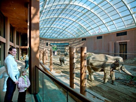 Elephant House, Elephant Zoo, Butterfly Pavilion, Zoo Project, Bull Elephant, Zoo Architecture, Philadelphia Zoo, Animal Experiences, Foster Partners