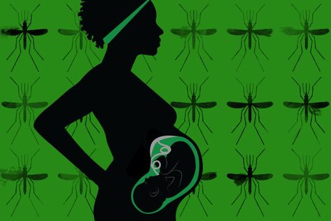 Malaria during pregnancy can alter babies’ immunity Malaria Parasite, Maternal Mortality, First Time Pregnancy, Healthy Microbiome, Clinical Research, Fact Sheet, African Countries, Public Health, Pediatrics