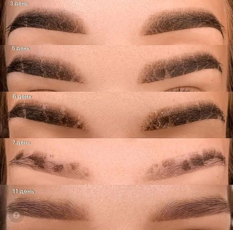 Microblading Eyebrows Training, Mircoblading Eyebrows, Ombre Eyebrows, Types Of Eyebrows, Best Eyebrow Makeup, Beginner Tattoos, Eyebrow Design, Brow Tattoo, Henna Brows