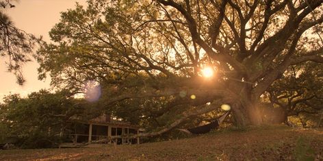 John B House, Obx Outer Banks, Southeastern University, John B, Header Photo, One Summer, Paradise On Earth, Surfs Up, Outer Banks