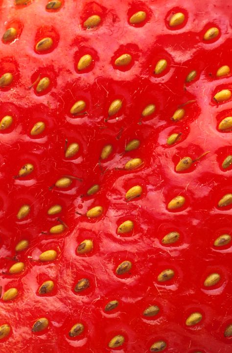 Strawberry Vanilla White Wine Sangria Strawberry Sangria, Strawberry Dessert Recipes, Photography Abstract, Strawberry Seed, Strawberry Garden, Fruit Photography, Food Patterns, Strawberry Fruit, Strawberry Desserts