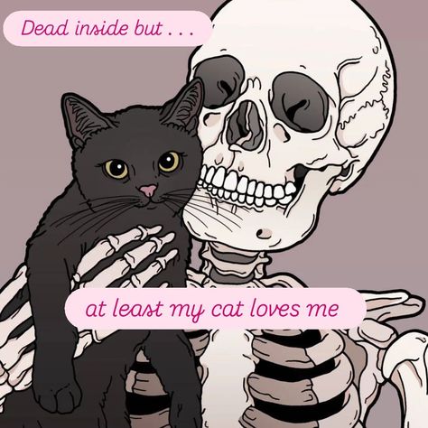 Dead inside but . . . at least my cat loves me. #cats #deadinside #fyp #mycat #catlady Cute Skeleton Wallpaper, Skeleton Pfp, Faceless Pfp, Skeleton Pics, Skeleton Wallpaper, Cute Skeleton, My Cat, Scary Halloween, Skeleton