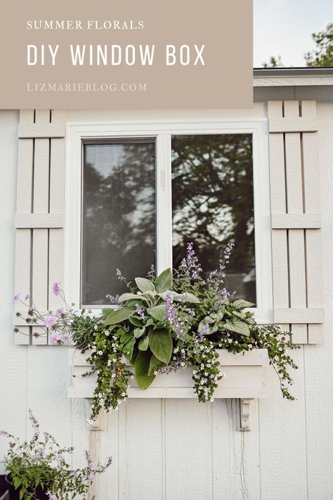 Diy Window Box, Liz Marie, Liz Marie Blog, Diy Window, Window Boxes, Window Box, A House, Blogger, Plants