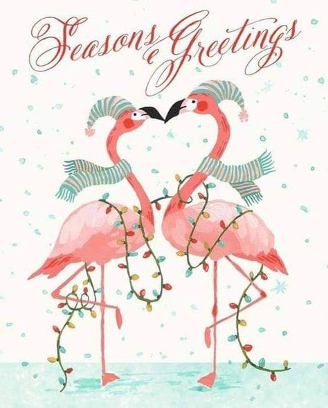 Flamingo Christmas Decorations, Flamingo Quotes, Pink Flamingo Wallpaper, Balboa Island, Watercolor Flamingo, December Wallpaper, Christmas Flamingo, Wishes Christmas, Mermaid Christmas