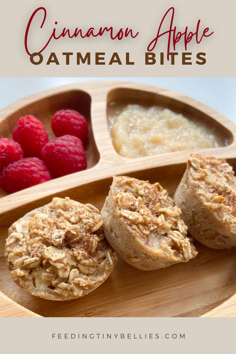 Cinnamon apple oat bites served with raspberries and applesauce. Fall Blw Recipes, Breakfast Oatmeal Bites, Apple Cinnamon Oatmeal Bites, Breakfast Oat Bites, Recipes With Quick Oats Healthy, Apple Oatmeal Bites, Easy Blw Breakfast Ideas, Blw Breakfast Meal Prep, Toddler Fall Recipes