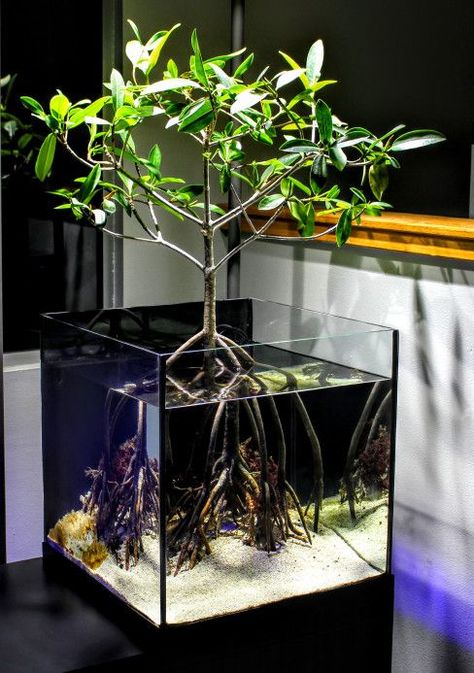 45 Stunning Aquarium Design Ideas for Indoor Decorations Tanaman Air, Kolam Koi, Taman Air, Amazing Aquariums, Cool Fish Tanks, Aquascape Design, Indoor Water Garden, Aquarium Terrarium, Nano Aquarium