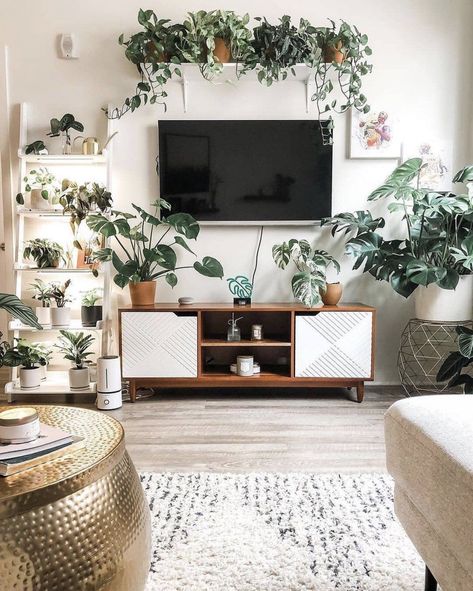 Room Plants Decor, Tv Wall Decor Living Room, Living Room Plants Decor, Decor Around Tv, Room Plants, نباتات منزلية, Living Room Plants, Plant Room, Living Room Entertainment