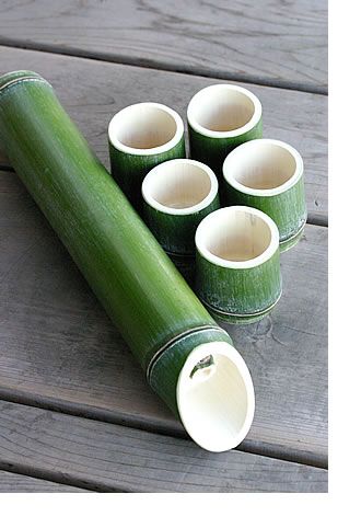 Bamboo Diy, Cat Water Bowl, Bamboo Cups, Sake Bottle, Green Bamboo, Japanese Bamboo, Bamboo Art, Hand Painted Fabric, Bamboo Crafts