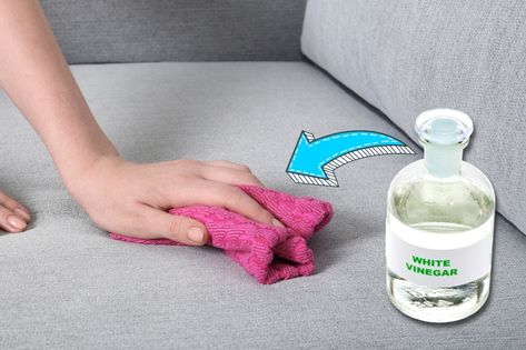 How to Remove Water Stains from a Fabric Sofa Removing Stains From Couch, How To Get Water Stains Out Of Fabric, Water Stains On Couch, Removing Water Stains From Fabric, Remove Water Stains From Fabric, Remove Stains From Couch, Sofa Cleaning Tips Fabrics, Best Stain Remover For Upholstery, How To Clean Sofa Fabric Couch With Baking Soda