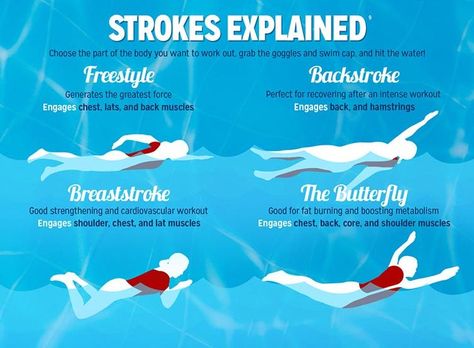 #Swimming strokes explained! [Infographic] #everyswimcounts Different Swimming Strokes, Swim Tips, Swim Technique, Swimming Drills, Swim Workouts, Swim Workout, Swimming Motivation, Swimming Workouts, Swimming Strokes