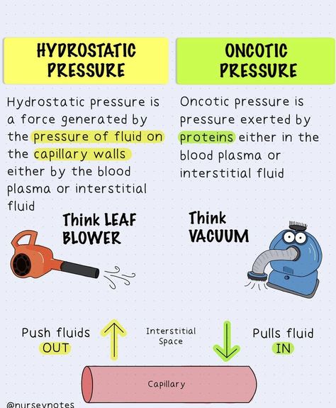 Body Fluids And Circulation Neet Notes, Hydrostatic Pressure, Pathophysiology Nursing, Nursing School Studying Cheat Sheets, Med Notes, Nursing School Inspiration, Paramedic School, Nursing School Essential, Basic Anatomy