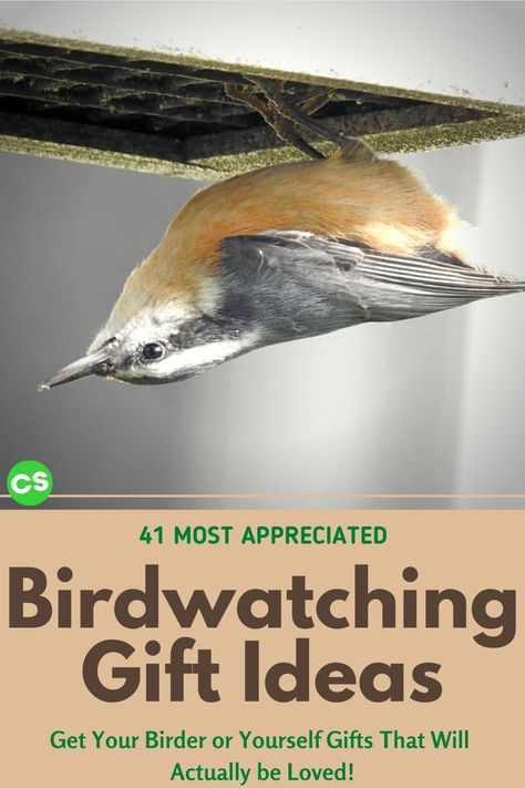 These gift ideas are the actual gifts I wished for, received and loved, or bought after a holiday. Make your birder (or yourself!) happy with these birdwatching gift ideas. #giftideas #birdwatchinggiftideas #bestbirdinggifts #giftsforbirdlovers Gifts For Birders, 4 Calling Birds Gift Ideas, Gifts For Snowbirds, Bird Lovers Gift Ideas, Bird Lover Gifts, Bird Lovers Gift Basket, Bird Watching Gifts, Bird Watcher Gifts, Bird Identification