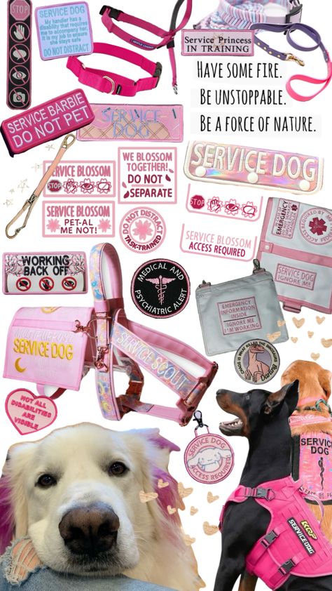 Service dog gear #servicedog#servicedogs#servicedoggear#dog#dogs#doggear#pink#white#pinkandwhite Service Dog Gear, Disabled Fashion, Service Dogs Gear, Service Dog Training, Service Dog Vests, Dog Playground, Dog School, Emotional Support Dog, Assistance Dog