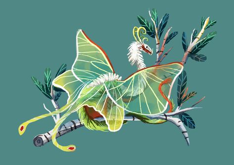 ArtStation - Tiny Insect Dragons I Part 2 Dragon Family, Tiny Dragon, Butterfly Dragon, Beast Creature, Dragon Sketch, Dnd Campaign, Arthropods, Fairytale Art, Oc Inspo