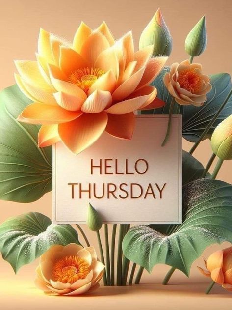 Be thankful for what is and grateful for what is to come have a beautiful Thursday Happy Thursday Morning, Hello Thursday, Thursday Greetings, Good Morning Thursday, Unique Mehndi, Thursday Afternoon, Good Night Flowers, Good Morning Flowers Pictures, Thankful Thursday