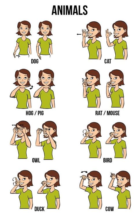 Simple Sign Language, Sign Language Chart, Sign Language For Kids, Sign Language Lessons, Sign Language Phrases, Sign Language Words, British Sign Language, Asl Learning, Asl Sign Language