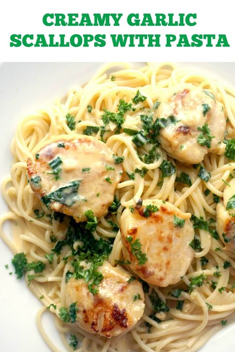 Creamy Garlic Scallops with Pasta, a delicious dinner that looks as good as an expensive meal at a posh restaurant. Seared scallops in a rich cream sauce that is bursting with the most amazing flavours, and your favourite pasta, quick, simple, but so yummy! The dish is ready in well under 20 minutes, and it can be served at any special occasion, or a dinner date. Serve them as a main meal with spaghetti, or as an appetizer on their own. Best seafood recipe. #scallops, #seafood, #pasta, #dinner Scallops With Pasta, Scallop Recipes Pasta, Scallops Recipes, Garlic Scallops, Shrimp And Scallop Recipes, Posh Restaurant, Easy Scallop Recipes, Seafood Linguine, Scallop Pasta