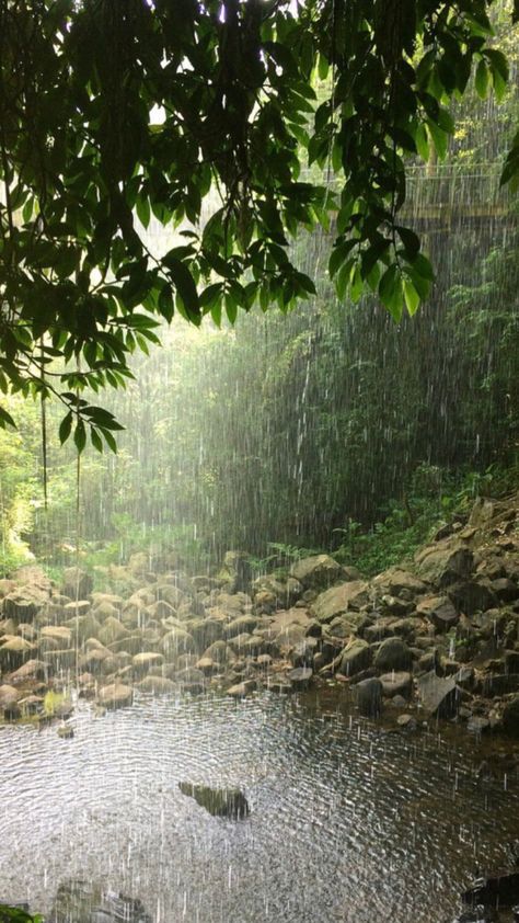 Summertime Madness, Rain And Thunderstorms, Rainy Day Aesthetic, I Love Rain, Love Rain, Sound Of Rain, When It Rains, Rain Photography, Royal Enfield