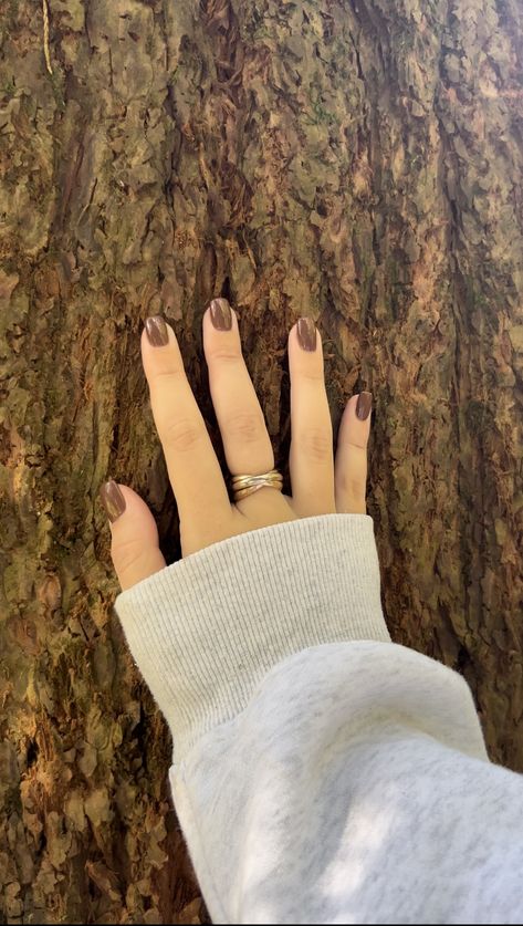 brown nails nail inspo autumn nails fall nail ideas tree nature granola girl crunchy aesthetic granola aesthetic Granola Girl Nail Ideas, Granola Nails Aesthetic, Outdoorsy Nails, Granola Nails, Granola Girl Nails, Crunchy Granola Aesthetic, Camping Nails, Crunchy Aesthetic, Autumn Nails Fall