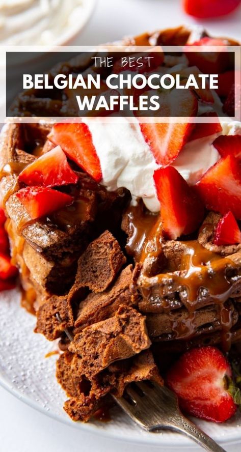 Chocolate Belgian Waffles, Belgian Waffle Dessert Ideas, Chocolate Belgian Waffle Recipe, Belgian Waffle Flavors, Chocolate Chip Belgian Waffles, Sweet Belgian Waffle Recipe, Flavored Belgian Waffle Recipe, Homemade Waffle Recipe Healthy, Pumpkin Spice Waffles Recipe