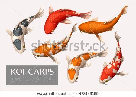 Koi - Free pictures on Pixabay - 2 Aquatic Art, Koi Painting, Koi Fish Designs, Koi Art, Koi Fish Tattoo, Carpe Koi, Koi Fish Pond, Japanese Koi, Koi Carp