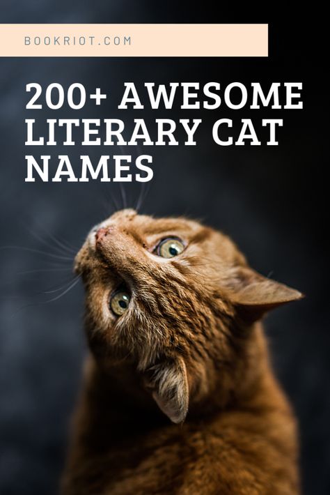 Cat Name Ideas, Names For Cats, Literary Names, Unique Cat Names, Cute Cat Names, Boxcar Children, Eleanor And Park, Kitten Names, A Wrinkle In Time