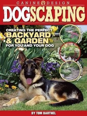 Landscaping for Dogs | HouseLogic Dog-Friendly Landscaping Dog Yard Landscaping, Dog Pond, Dog Friendly Garden, Dog Friendly Backyard, Pet Play Area, Dog Backyard, Dog Yard, Dog Playground, Dog Area