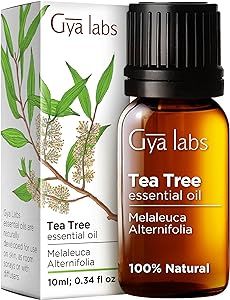 Tea Tree Oil Face Wash, Tea Tree Oil Skin, Tea Tree Oil Hair, Oil Face Wash, Melaleuca Essential Oil, Tea Tree Oil Face, Australian Tea Tree Oil, Australian Tea Tree, Oil For Skin